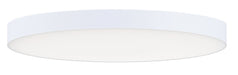 Trim LED Flush Mount in White