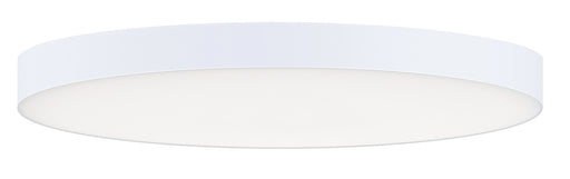 Trim LED Flush Mount in White