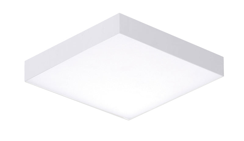 Trim LED Flush Mount in White