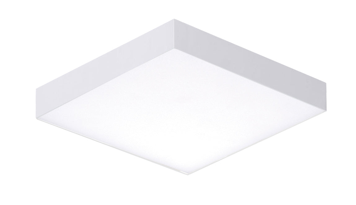 Trim LED Flush Mount in White