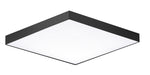 Trim LED Flush Mount in Black