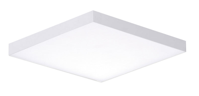 Trim LED Flush Mount in White