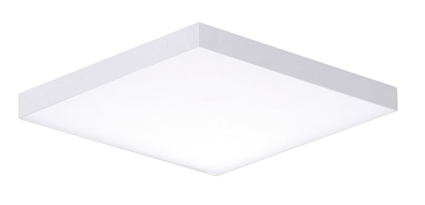 Trim LED Flush Mount in White