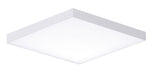 Trim LED Flush Mount in White