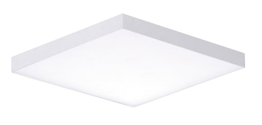 Trim LED Flush Mount in White