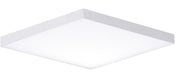 Trim LED Flush Mount in White