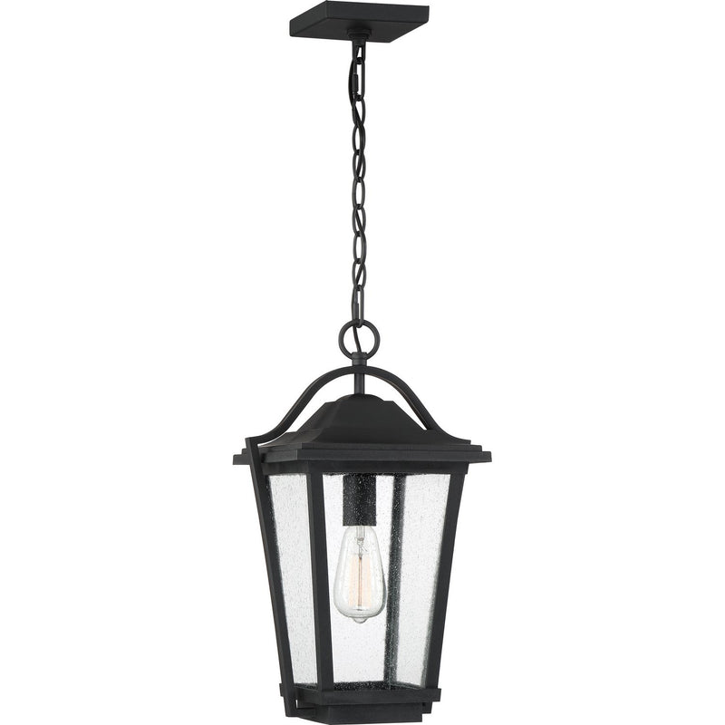 Darius Outdoor Hanging Lantern in Earth Black