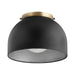 Transitional Ceiling Mount in Textured Black