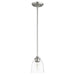 Jardin Transitional Pendant in Satin Nickel W/ Clear/Seeded