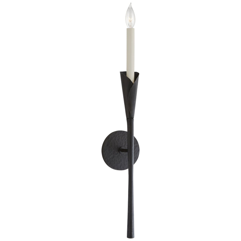 Aiden Tail Wall Sconce in Aged Iron