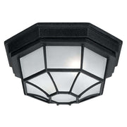 2-Light Frosted Glass Outdoor Flush Mount in Black