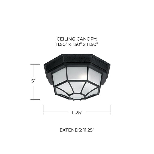 2-Light Frosted Glass Outdoor Flush Mount in Black