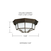 2-Light Frosted Glass Outdoor Flush Mount in Old Bronze