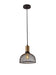 Dale Pendant in Matte Black - Lamps Expo