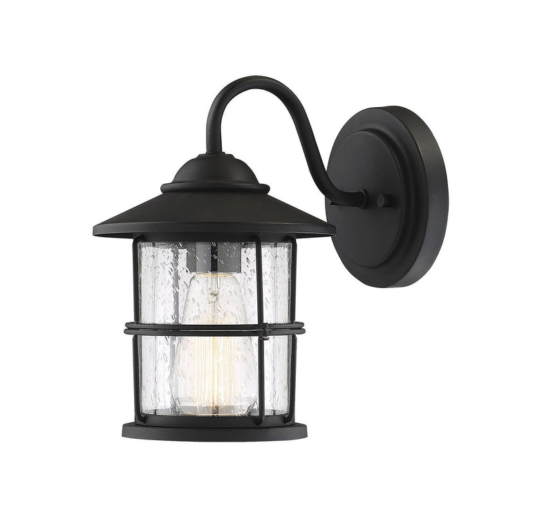 Coastal Clear Glass 1-Light Outdoor Wall Lantern in Matte Black
