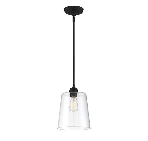 Clear Glass Cone 1-Light Mini Pendant in Matte Black