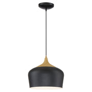 Blend Pendant in Black W/wood Grain