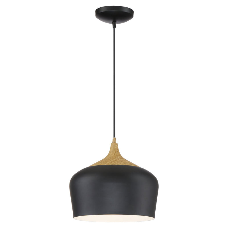 Blend Pendant in Black W/wood Grain