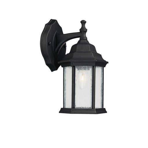Main Street Medium Outdoor Wall Lantern in Black