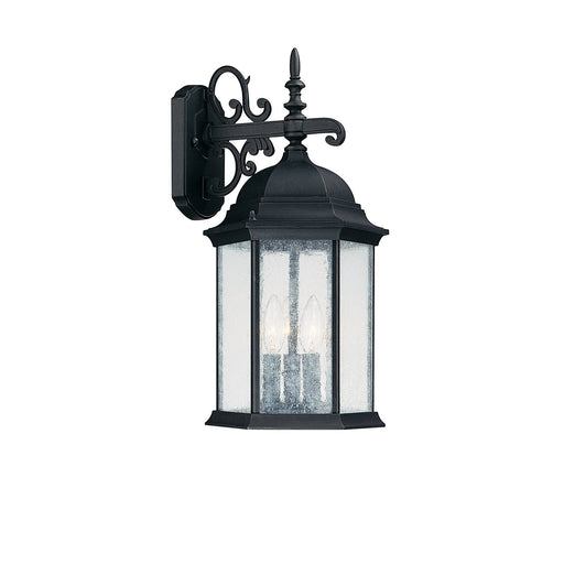 Main Street Medium 3-Light Outdoor Wall Lantern in Black