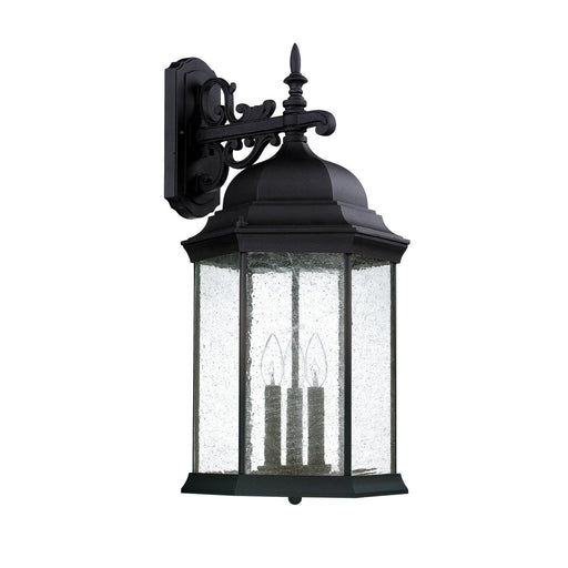 Main Street Large 3-Light Outdoor Wall Lantern in Black