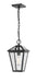 Talbot 1 Light Outdoor Chain Mount Ceiling Fixture in Black with Clear Beveled Glass Shade
