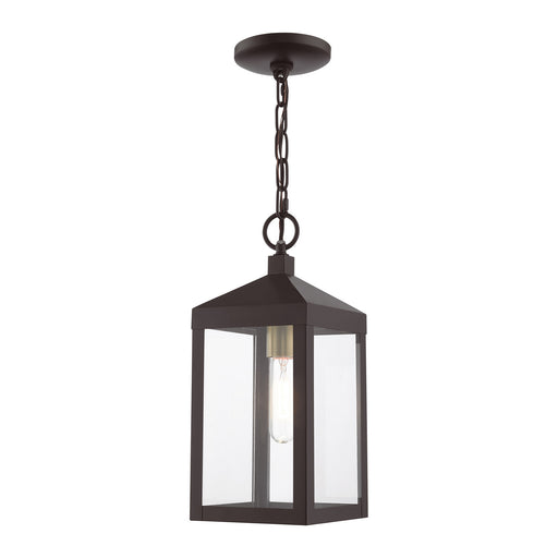 Nyack One Light Outdoor Pendant in Bronze with Antique Brass Cluser