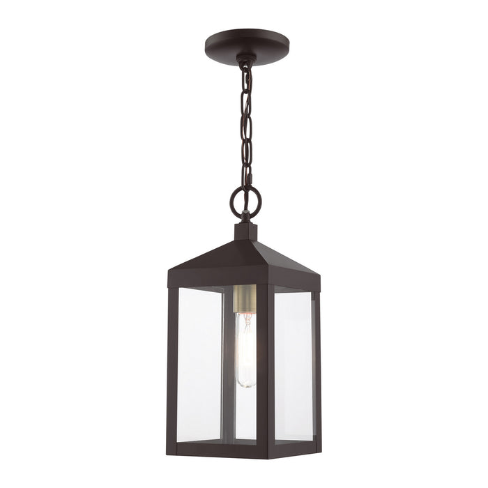Nyack One Light Outdoor Pendant in Bronze with Antique Brass Cluser
