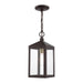 Nyack One Light Outdoor Pendant in Bronze with Antique Brass Cluser