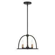 Abbott 3 Light 13.75" Chandelier in Black