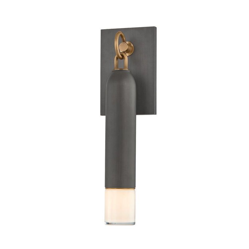 Osprey Outdoor Wall Sconce in Patina Brass / Graphite