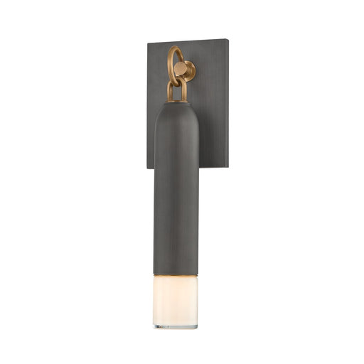Osprey Outdoor Wall Sconce in Patina Brass / Graphite