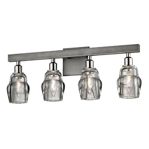 Citizen 4-Light Bath Vanity Light in Graphite / Polished Nickel