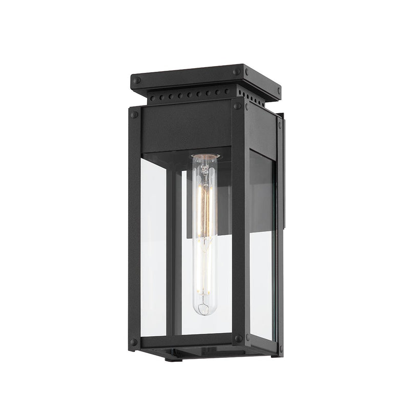 Braydan Outdoor Wall Lantern in Texture Black