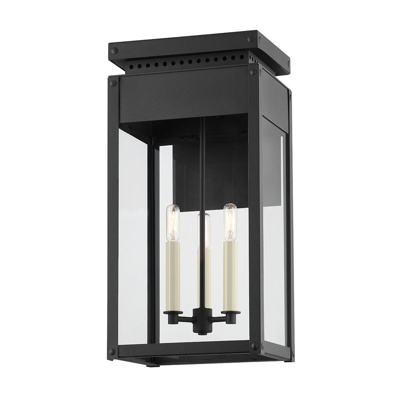 Braydan 3-Light Outdoor Wall Lantern in Texture Black