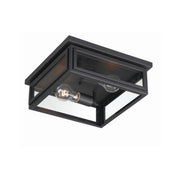Byron 2 Light 12.75" Outdoor Flush Mount in Matte Black
