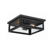 Byron 2 Light 12.75" Outdoor Flush Mount in Matte Black