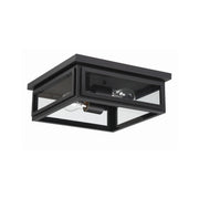 Byron 2 Light 12.75" Outdoor Flush Mount in Matte Black