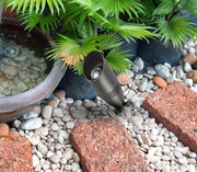 Aera 3" x 8.5" Landscape Spot Light in Dark Bronze