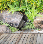 Aera 1.75" Landscape Spot Light in Dark Bronze