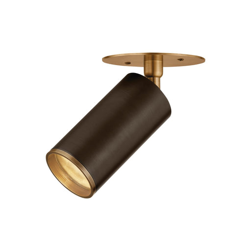 Caleb Flush Mount in Patina Brass / Bronze