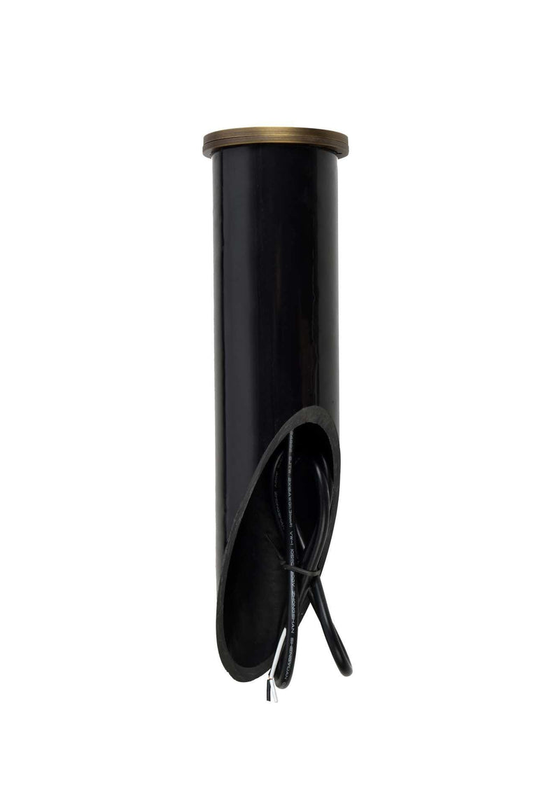 Aera 4" x 15" Landscape Well Light in Antique Brass