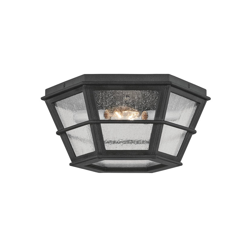 Lake County 2-Light Outdoor Flush Mount in French Iron