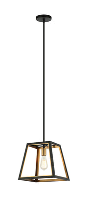 Rosalie Lantern Pendant in Matte Black / Aged Gold Brass