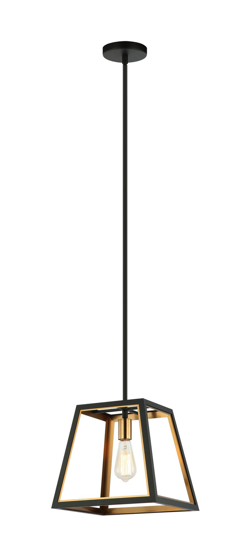 Rosalie Lantern Pendant in Matte Black / Aged Gold Brass
