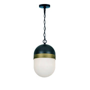 Capsule 1 Light 8" Outdoor Pendant in Matte Black + Textured Gold