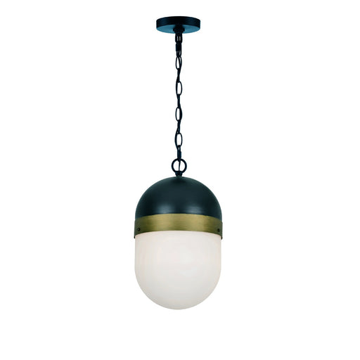 Capsule 1 Light 8" Outdoor Pendant in Matte Black + Textured Gold