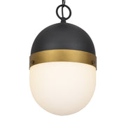 Capsule 1 Light 8" Outdoor Pendant in Matte Black + Textured Gold
