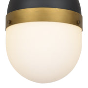 Capsule 1 Light 8" Outdoor Pendant in Matte Black + Textured Gold