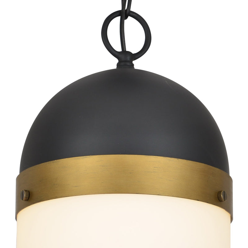 Capsule 1 Light 8" Outdoor Pendant in Matte Black + Textured Gold